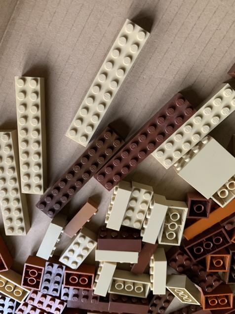LEGO® KLASIK SADA KOSTEK A DÍLKŮ