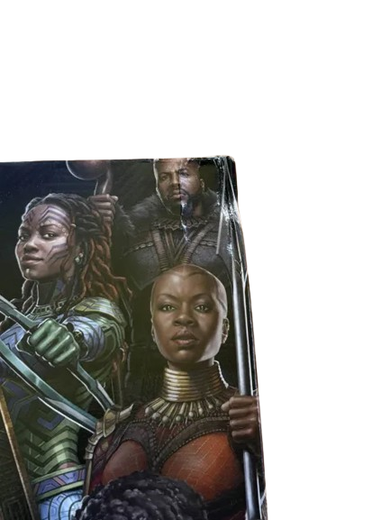 LEGO® MARVEL 76214 BLACK PANTHER VÁLKA NA VODĚ