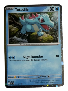 TOTODILE (xASC 041)