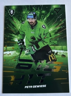 SPORTZOO ELH BIG HIT PETR GEWIESE