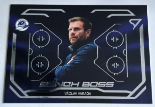 SPORTZOO ELH BENCH BOSS VÁCLAV VARAĎA