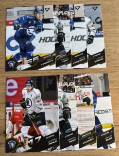 SPORTZOO ELH SADA TÝMU HC ŠKODA PLZEŇ