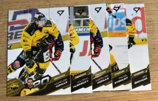 SPORTZOO ELH SADA TÝMU HC VERVA LITVÍNOV