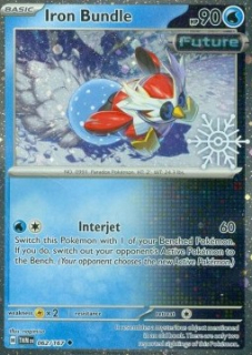 IRON BUNDLE (TWM 062)